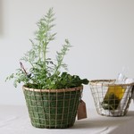 * tea＆kitchen herb の寄せ植え * 