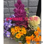 ハーバリウムボールペン