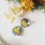 chiquito yellow&gray