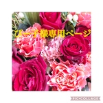 🦜ぴー子様専用ページ🦜