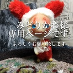 みどりかわ様専用ページ