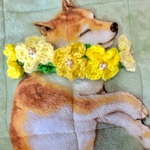 Y様専用★2点おまとめ
