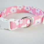 【sale】29-42ｃｍ中型犬★おはな★首輪