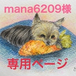 mana6209様専用ページ