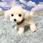 ❁︎送料無料❁︎羊毛フェルト 頭でっかちトイプードル ホワイト