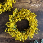 ドライフラワーリース❁¨̮mimosa  ミモザ ドライフラワー