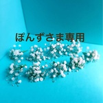 ぽんずさま専用　3/23発