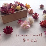 sioazukilove様専用出品