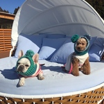 スヌードにもなるポンポンニット帽   グリーンブルー