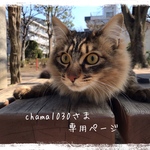 【お客様専用ページ】