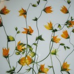 🌼再販🌼押し花素材。メラスフェルラ