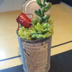 多肉植物フェイク