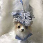 ハーデス船長