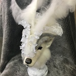 レオ船長