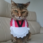 大正ロマン風店員コスプレ