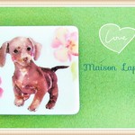 マグネット(4×4cm) ♡ ほんわかダックスフンド 【Ｄ】