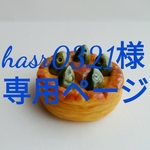 hasr0321様専用ページ