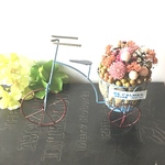 花かごサイクル  ピンク系