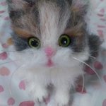 (tomtomo様専用ページ)小さなネコちゃん