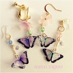 ٭❀*桜蝶  Cherry butterfly٭❀*