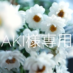 aki様専用 