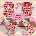 激カワ🍎💕リンゴ柄🍎ドッグウエア✨