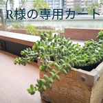 R様専用カート　ブルーアパタイトドロップカット房のイヤリング 