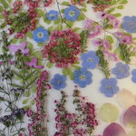 押し花素材 春のエリカ他小花セット