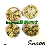 keiyosi様専用です