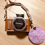 ~misokaya様専用~カメラレンズキャップケース