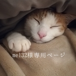mel32様専用ページ
