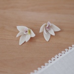蘭のイヤリング/ピアス
