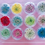 12色（60枚以上＋10枚）🌼レインボー★ レースフラワー🌈ケース付(各色5枚)★(๑>◡<๑)/🌼ハンドメイド