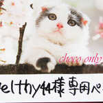 ♥welthy44様専用ページ♥