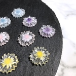 小さな お花 カボション ドライフラワー パーツ