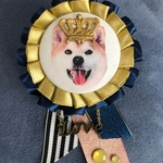 Kingだワン