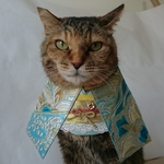 艶やか着物コスプレ