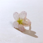 ホンモノの桜をとじこめた指輪