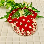 🍓いちごスタイ首輪(赤)🍓