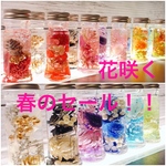 花咲く春の（お任せ）ミニミニハーバリウムセール！