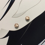【3050】コパラメ　小さいステンレスピアス 