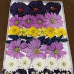 お花屋さんが作った本日のドライフラワーmix   a-②