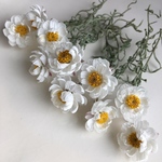 花かんざし  10輪