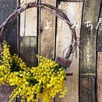 ミモザ リース
