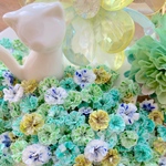 かすみ草ドライフラワー