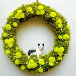 花咲く野原のフレンチブルドッグ