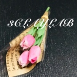 ☆送料無料☆愛を込めて花束を／ピンクチューリップ3本花束