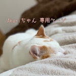 Akariちゃん*ﾟ専用ページ