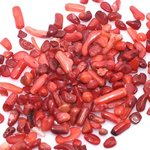 N056  150g シェル貝 さざれ石(穴なし) レッドサンゴ 5-7mm  3X【50g】