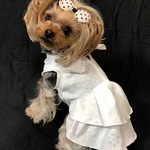 【再販】2段フリルスカートのワンピ(ネックリボン）